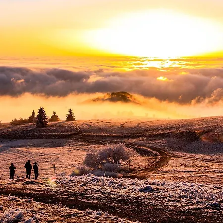 Hotel Deutscher Flieger Wasserkuppe Gersfeld