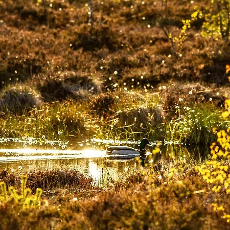 Deutscher Flieger Wasserkuppe 格尔斯费尔德