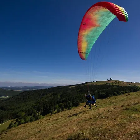Deutscher Flieger Wasserkuppe 2*