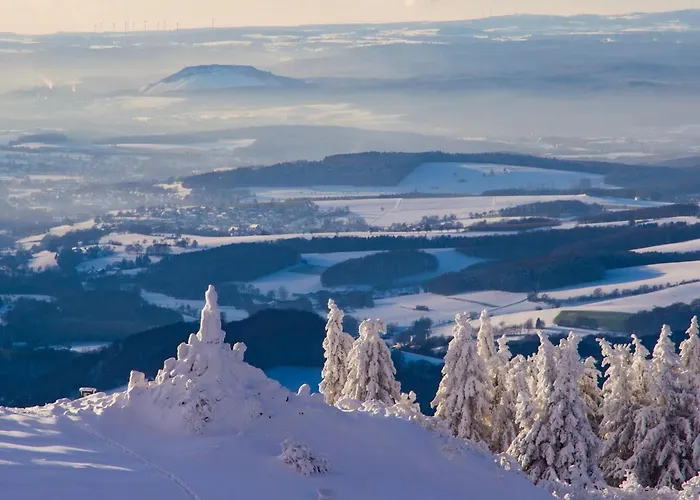 Deutscher Flieger Отель