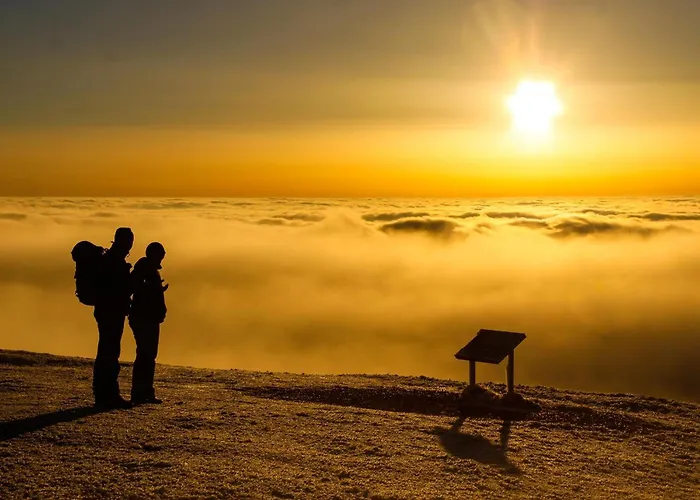 Отель Deutscher Flieger 3*