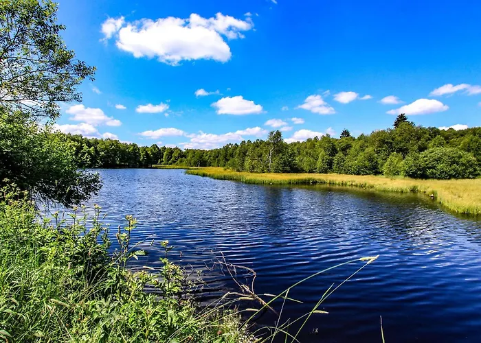 Отель Deutscher Flieger 3*