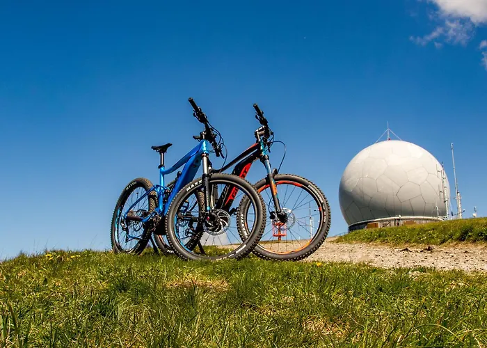 Deutscher Flieger 3*