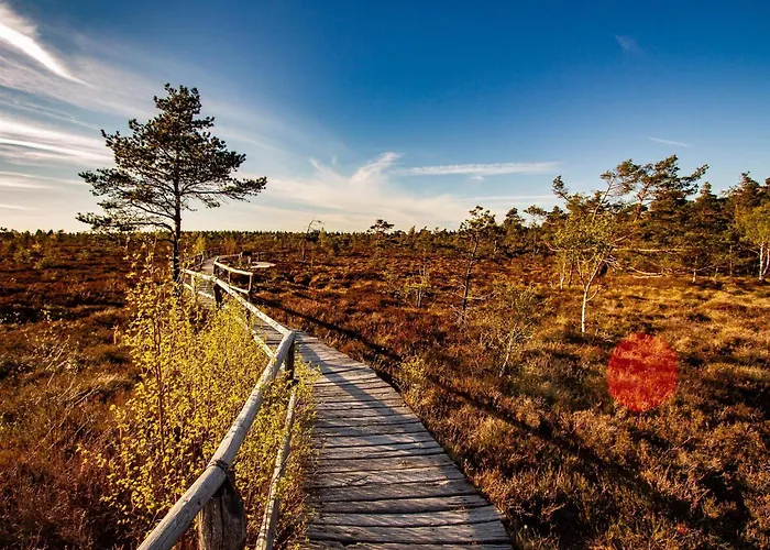 Deutscher Flieger Отель 3*